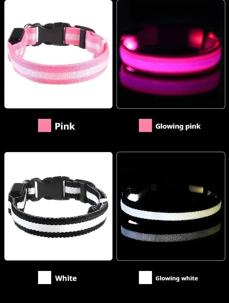 LED Dog Collar Nylon