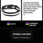 LED Dog Collar Nylon