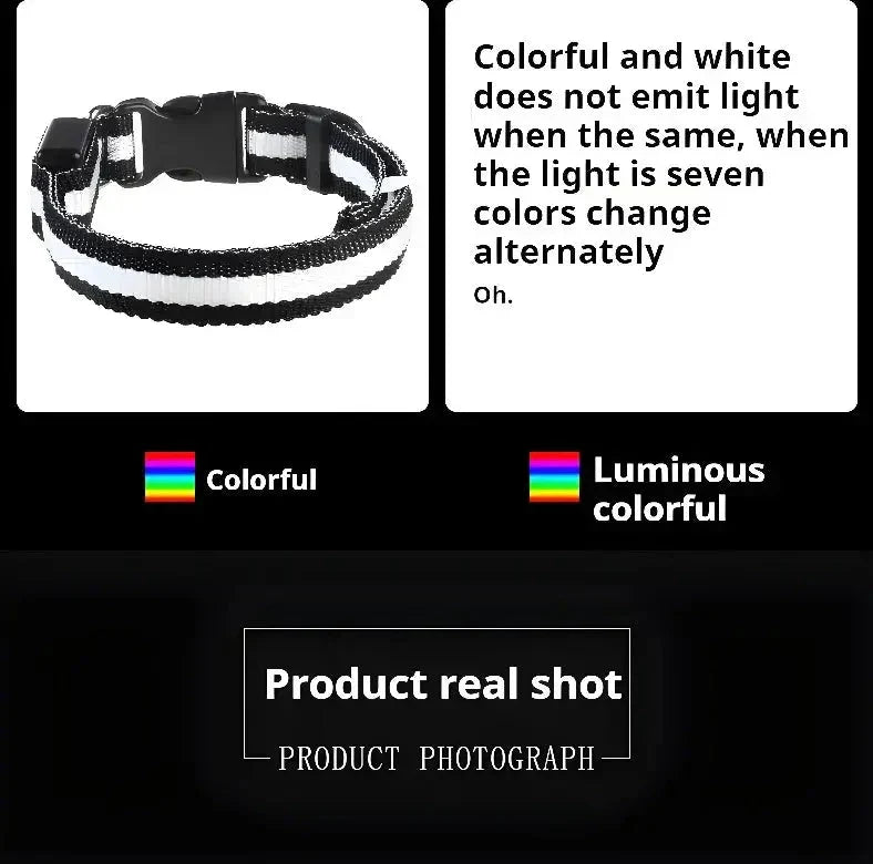 LED Dog Collar Nylon