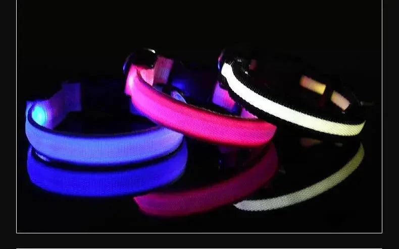 LED Dog Collar Nylon
