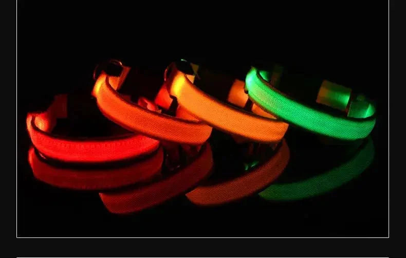 LED Dog Collar Nylon