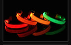 LED Dog Collar Nylon