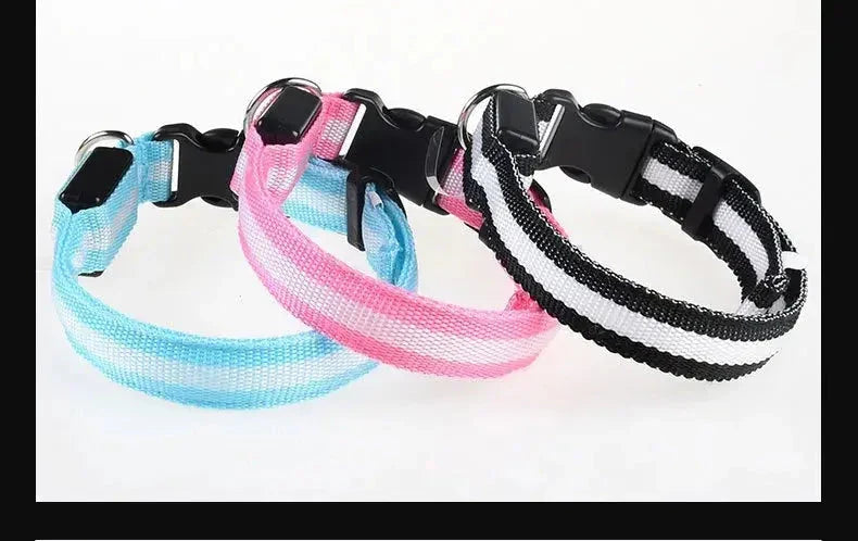 LED Dog Collar Nylon