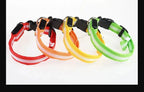 LED Dog Collar Nylon