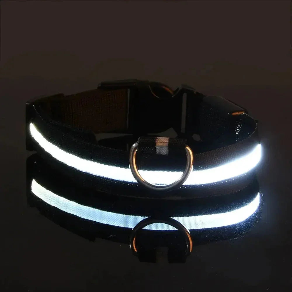 LED Dog Collar Nylon
