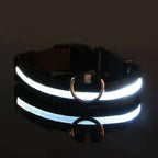 LED Dog Collar Nylon