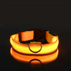 LED Dog Collar Nylon