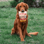Chicken Chips for Dogs - All-Natural Single-Ingredient Treats