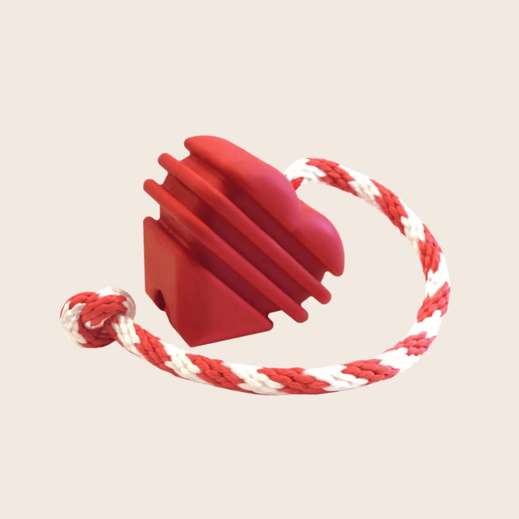 Chew Toys