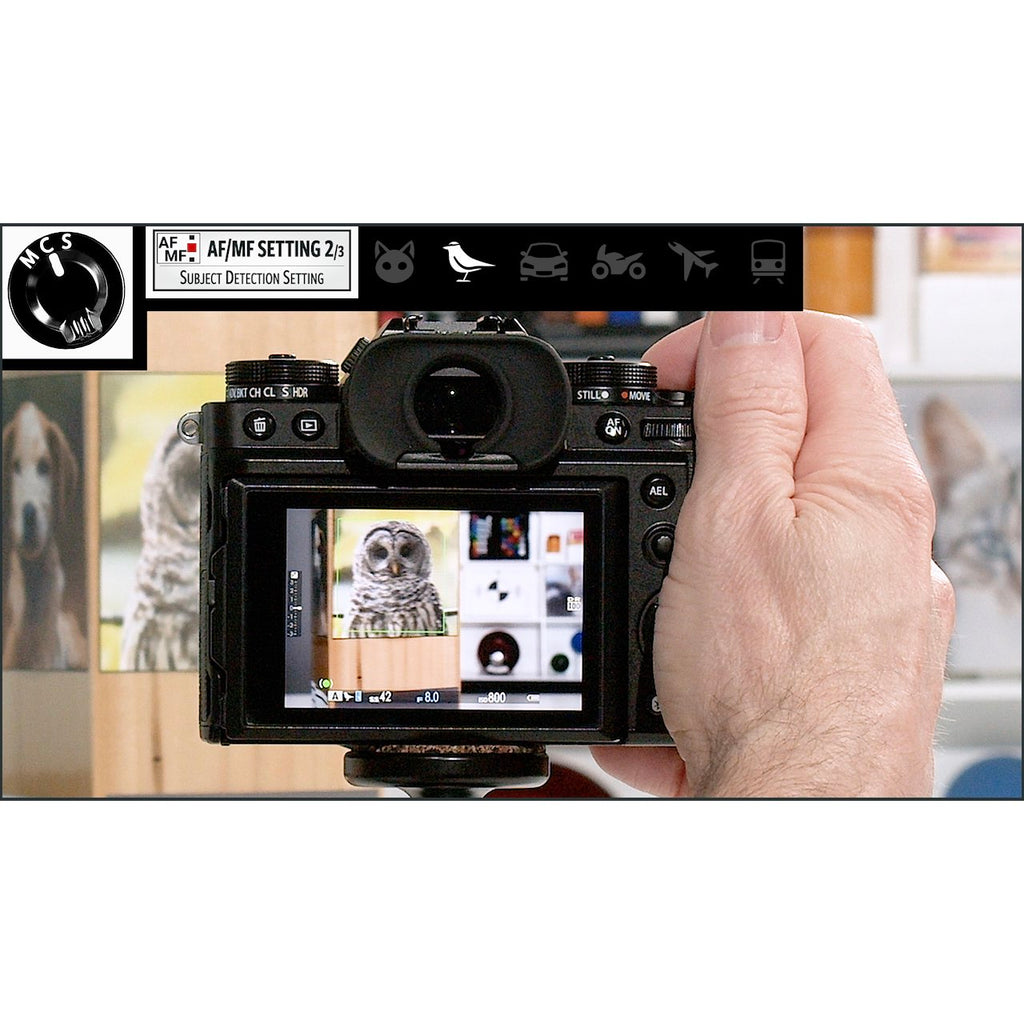 Fujifilm X-T5: Complete Camera Guide