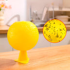 Hanging Fly Trap with Adhesive Layer (6 Pcs)