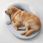 Orthopedic Cooling Dog Bed