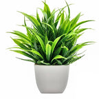 Artificial Plants With Pots