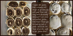 gfJules All Purpose Gluten Free Flour