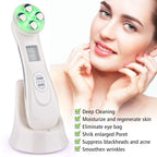 EMS Meso-Electroporation