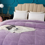 Kasentex Ultra Soft All Season Reversible Plush Sherpa Lined Comforter, Twin, Queen, King