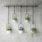 Creative Hanging Planters for Gardens