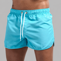 Men's Swimsuit Swim Trunks Quick Dry | Beach Shorts