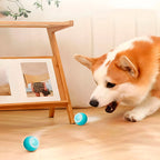 Interactive Pet Ball, Rolls Automatically