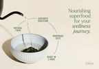 Nourishing Seaweed Soup Vegan Broth