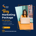 Buy Marketing Package (20,000 Traffic & SEO) (Price Doubled Due To Demand)