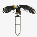 Outdoor Garden Bird Decoration Flapping Wings Design