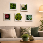 Plant Frame Wall Decor with 5 Artificial Plants