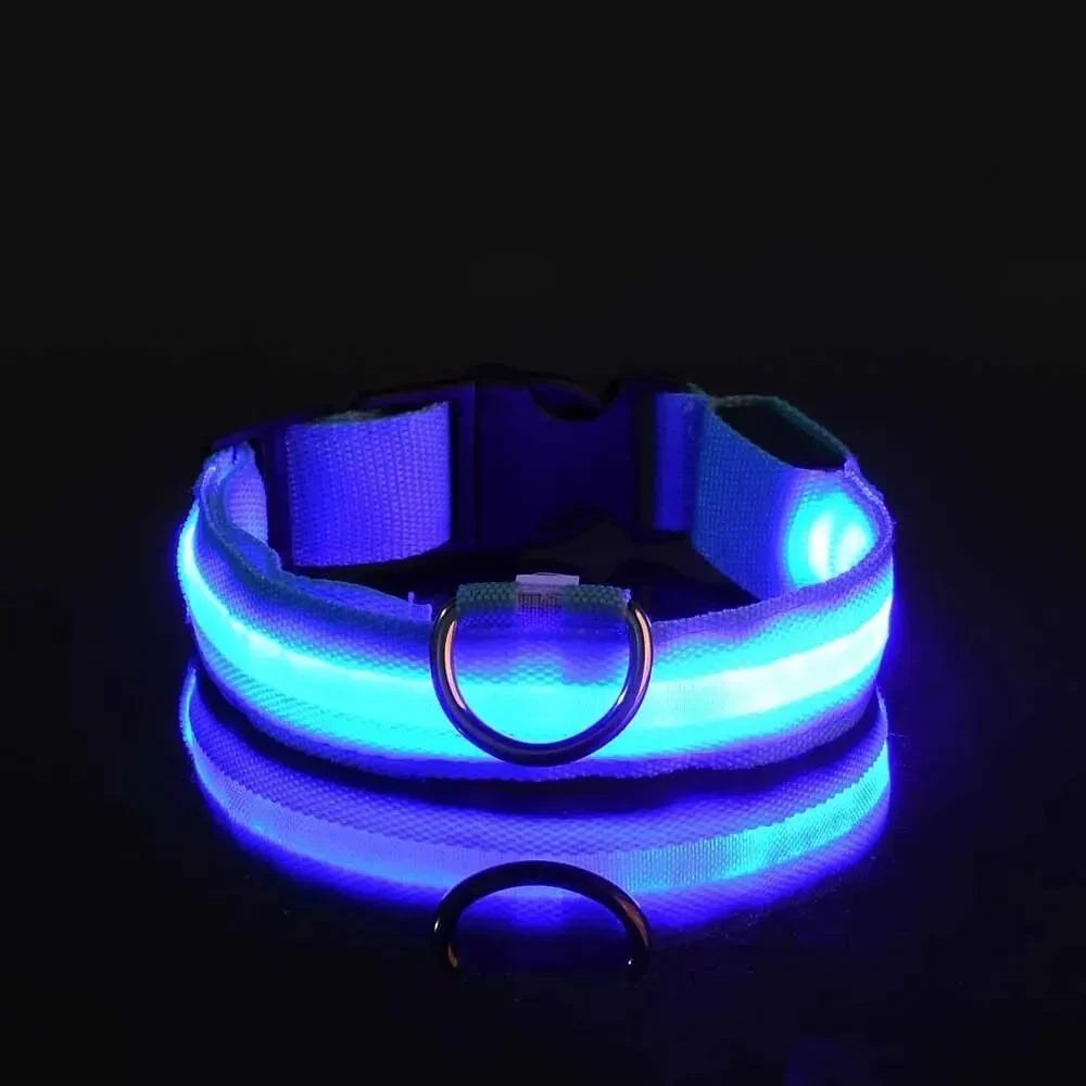 LED Dog Collar Nylon