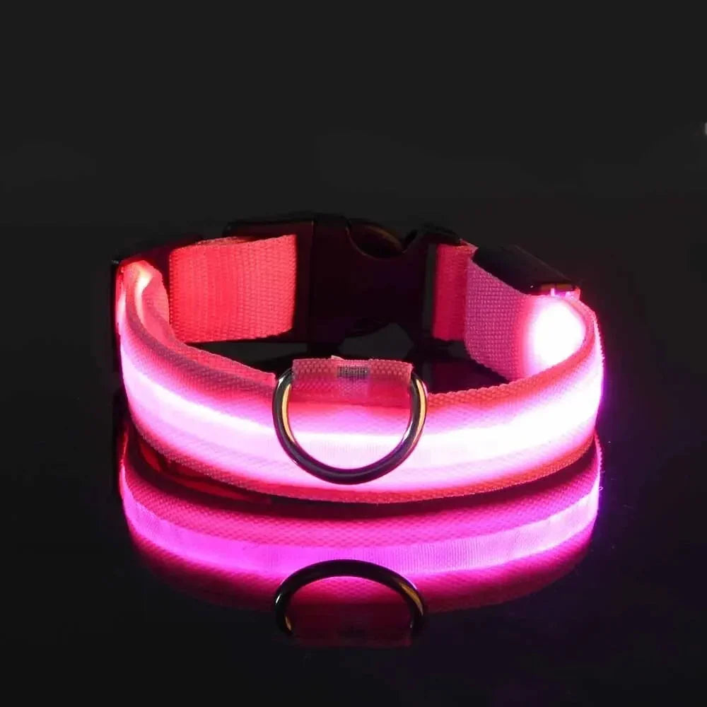 LED Dog Collar Nylon