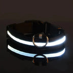 LED Dog Collar Nylon