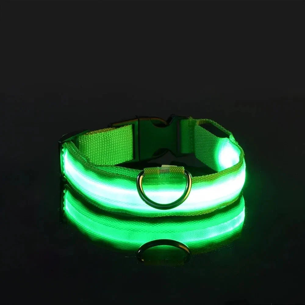 LED Dog Collar Nylon