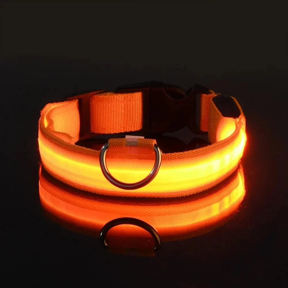 LED Dog Collar Nylon