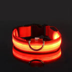 LED Dog Collar Nylon