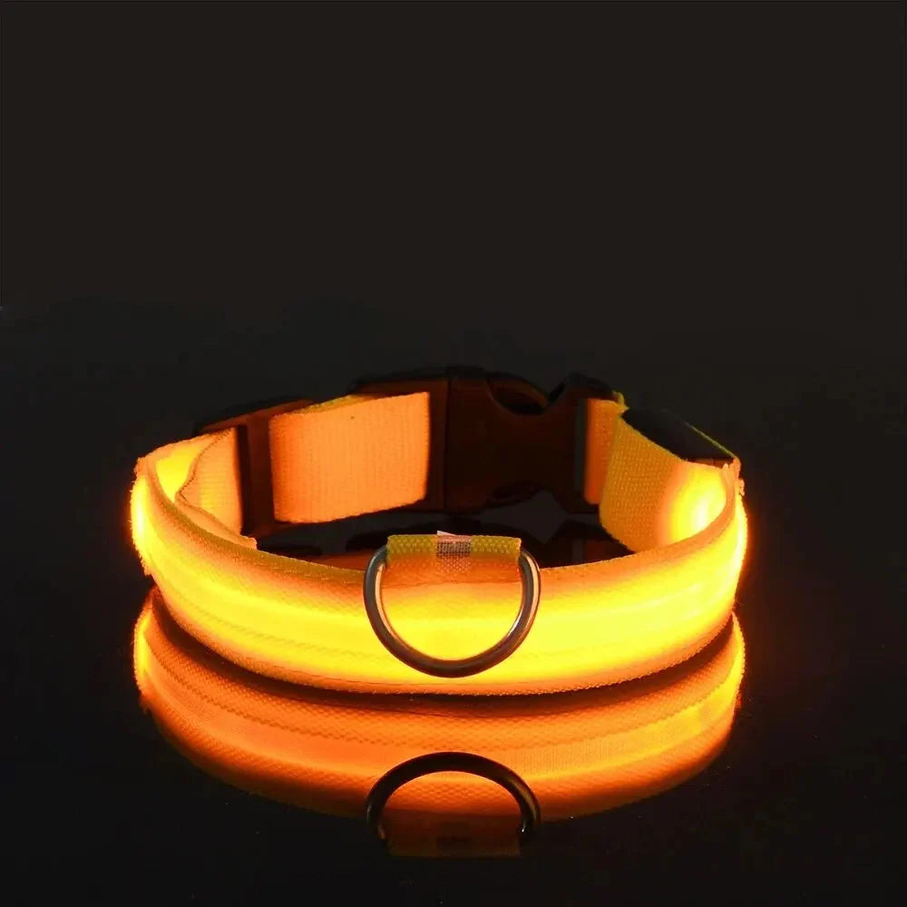 LED Dog Collar Nylon