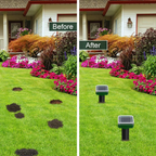 Solar-Powered Rodent Repellent Stakes