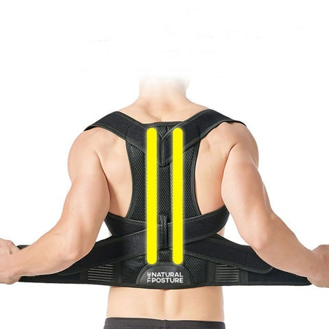 Complete Back Care Support Brace for Posture Correction