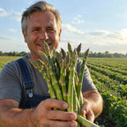Perennial Asparagus Seeds – Tender Green Garden Vegetable Seeds for Home Planting