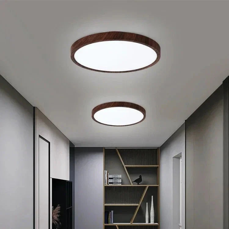 Aeris Minimalist Ceiling Light for Home | Niki