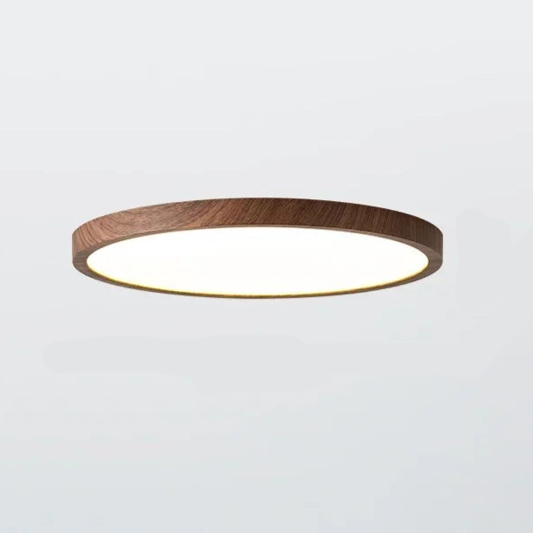 Aeris Minimalist Ceiling Light for Home | Niki
