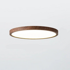 Aeris Minimalist Ceiling Light for Home | Niki