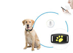 Always Have Your Cat on Radar