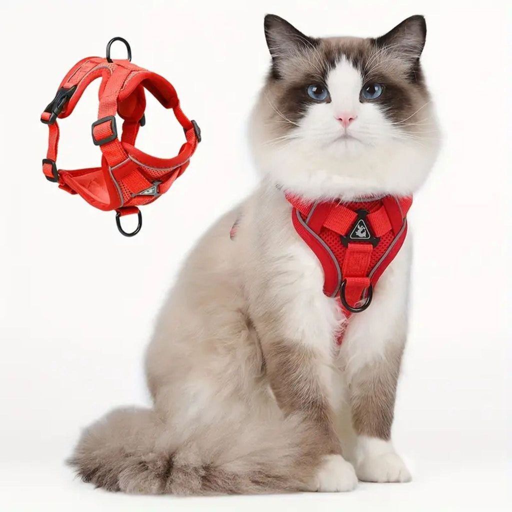 secure escape-proof cat vest | CATWALKS