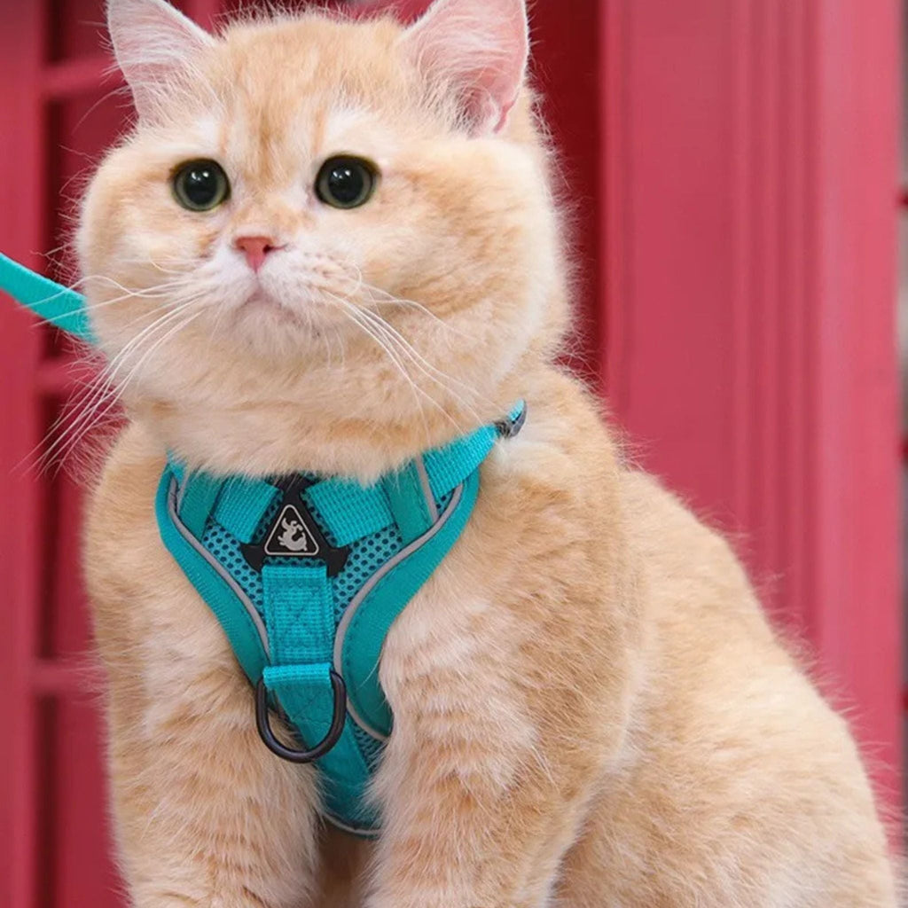 secure escape-proof cat vest | CATWALKS