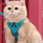 secure escape-proof cat vest | CATWALKS