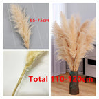 Aurea Meadow Boho Dried Pampas Grass for Home Decor