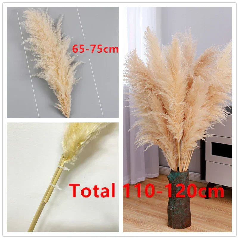 Aurea Meadow Boho Dried Pampas Grass for Home Decor