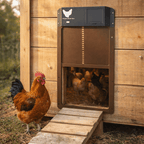 AUTOCOOP – Automatic Chicken Coop Door with Light Sensor & Weather Protection