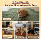 Heated Pet Pad for Dogs & Cats