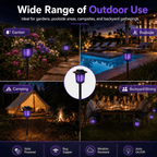 Solar Mosquito Zapper Path Light