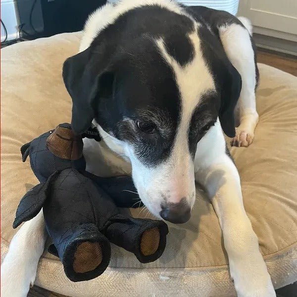 BEARBITE – Tough dog chew toy for durable play